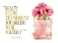 Picture of BEAUTY BEGINS POPPY