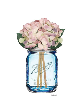 Picture of BLUE JAR HYDRANGEA