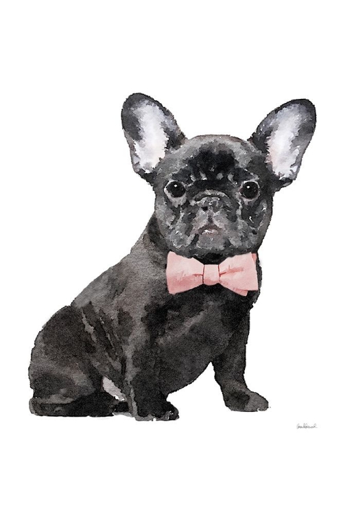 Picture of FRENCHIE I