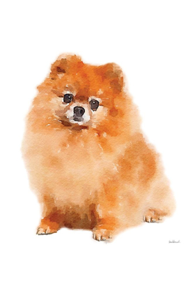 Picture of POM