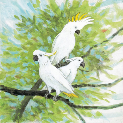 Picture of COCKATOOS