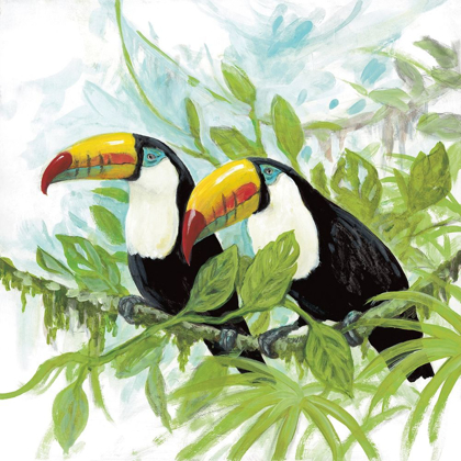 Picture of TOUCANS