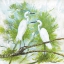Picture of HERONS