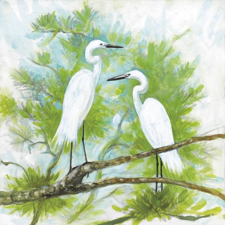 Picture of HERONS