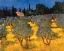 Picture of LES OLIVES EN PRINTEMPS