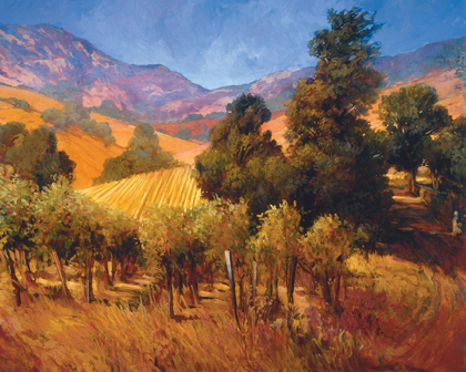 Picture of SOUTHERN VINEYARD HILLS