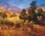 Picture of SOUTHERN VINEYARD HILLS