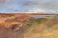 Picture of DUSK