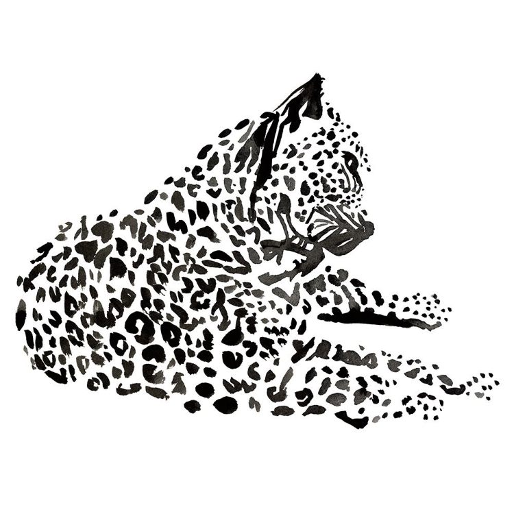 Picture of CHEETAH