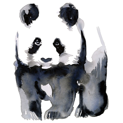 Picture of PANDA