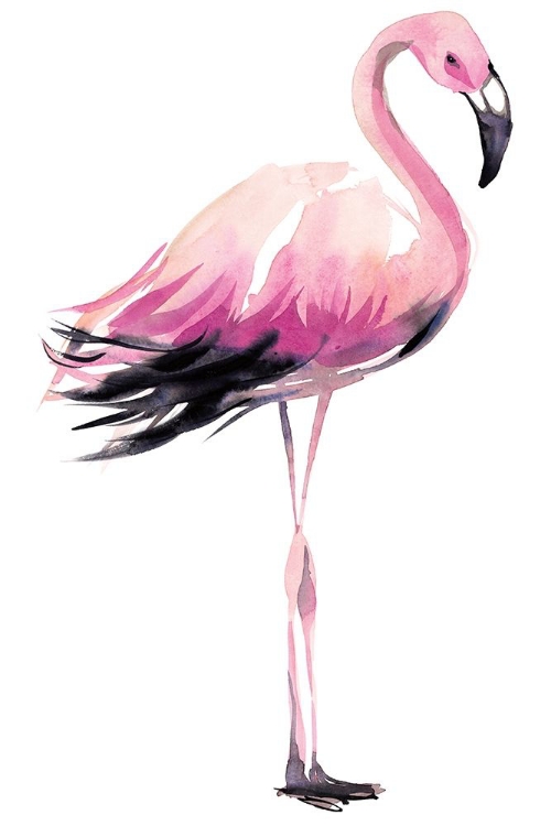 Picture of FLAMINGO