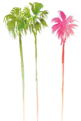 Picture of PALM TREES