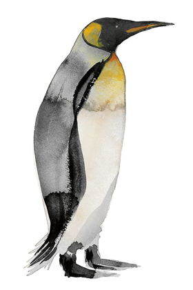 Picture of PENGUIN IV