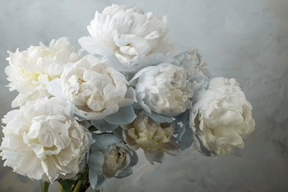 Picture of A GIFT OF PEONIES