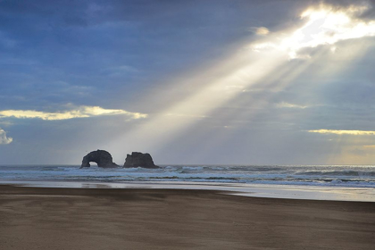 Picture of A BREAK OF SUNSHINE