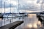 Picture of WALK ON  THE DOCK