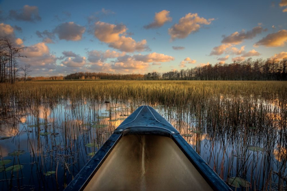 Picture of CANOEING ON THE RIVER