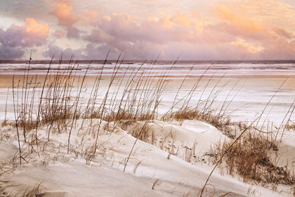 Picture of WHISPERS IN THE DUNES