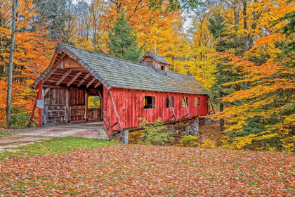 Picture of LOON SONG COVERED BRIDGE