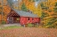 Picture of LOON SONG COVERED BRIDGE