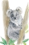 Picture of BABY KOALA
