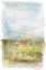 Picture of INTO THE WIDE BLUE