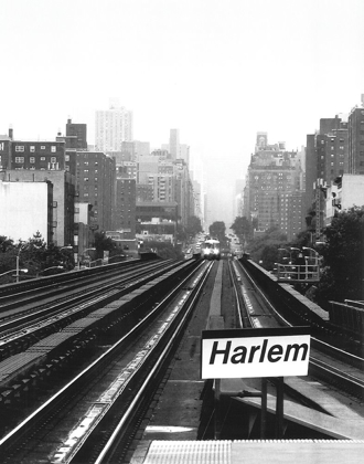 Picture of NEXT STOP HARLEM