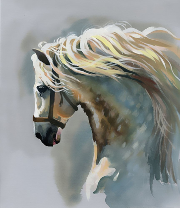 Picture of WHITE STALLION PAINTING