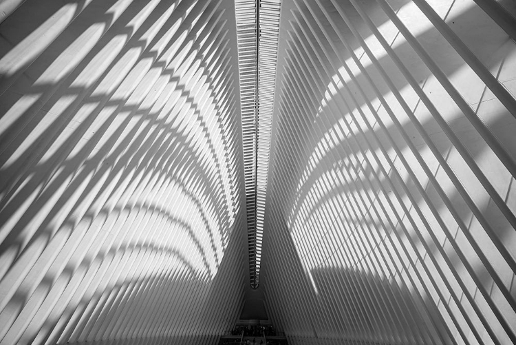 Picture of OCULUS CEILING, WORLD TRADE CENTER, NYC