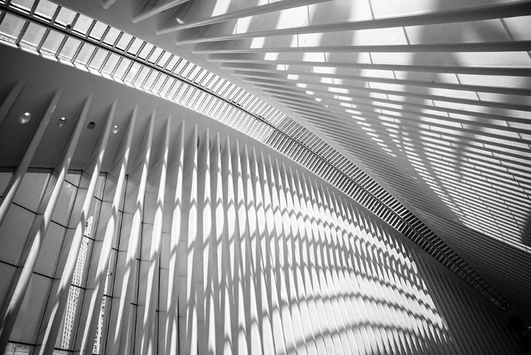 Picture of OCULUS CEILING II, WORLD TRADE CENTER, NYC