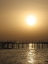 Picture of GOLDEN SUNSET