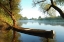 Picture of TRANQUIL MORNING, COLOR