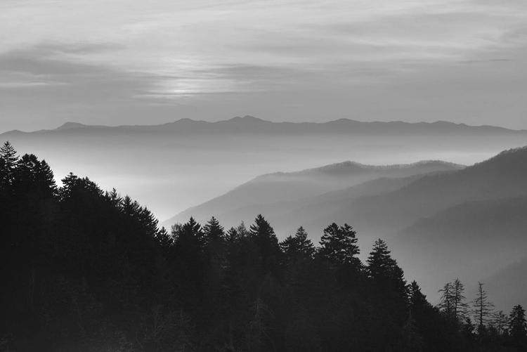 Picture of SMOKY MOUNTAINS