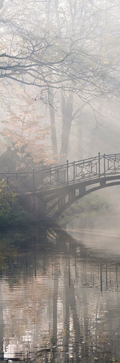 Picture of BRIDGE IN THE MIST I