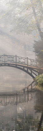 Picture of BRIDGE IN THE MIST II