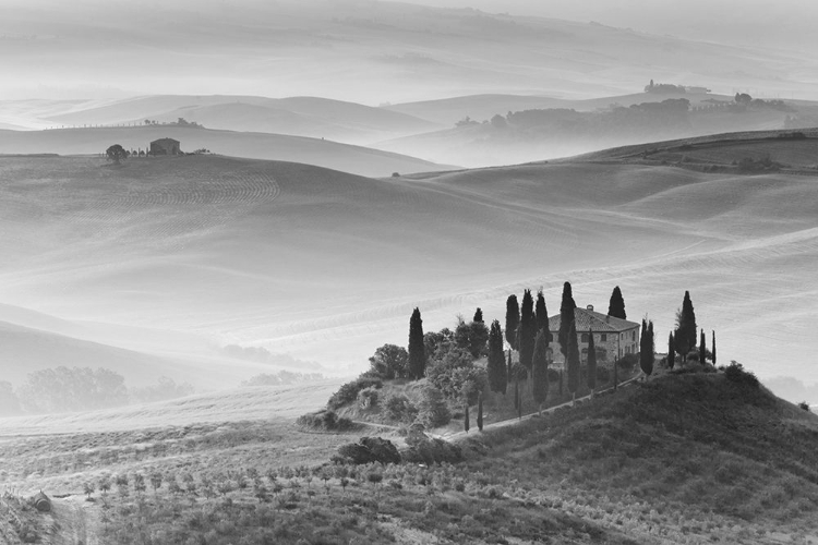 Picture of TUSCANY II