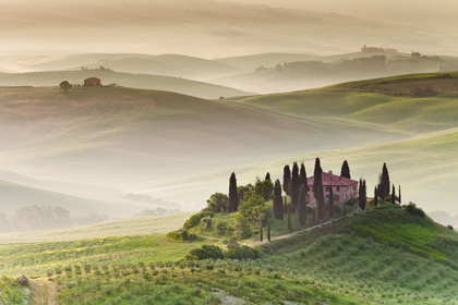 Picture of TUSCANY II, COLOR