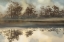 Picture of FOGGY MORNING RIVER