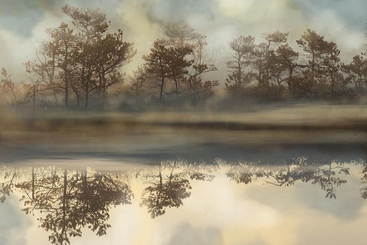 Picture of FOGGY MORNING RIVER