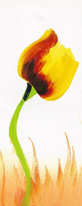 Picture of YELLOW RED TULIP FLOWER FLORAL