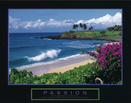 Picture of PASSION - BEACH