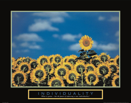 Picture of INDIVIDUALITY - SUNFLOWERS