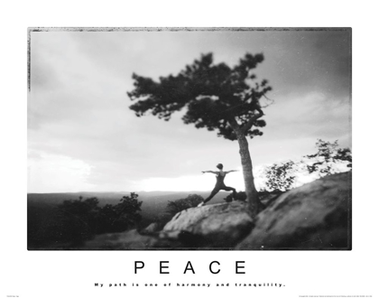 Picture of PEACE - YOGA