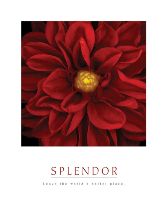 Picture of SPLENDOR - RED POOL