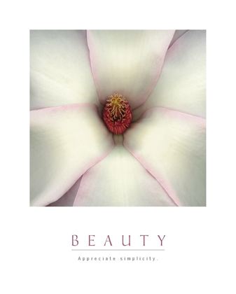 Picture of BEAUTY - WHITE MAGNOLIA