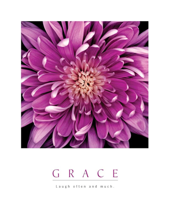 Picture of GRACE - PURPLE MUM