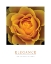 Picture of ELEGANCE - PEACH ROSE