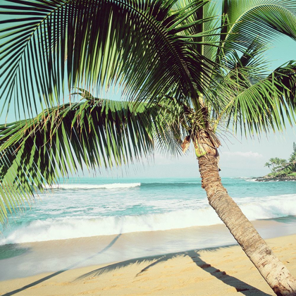 Picture of NAPII BEACH