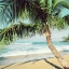 Picture of NAPII BEACH