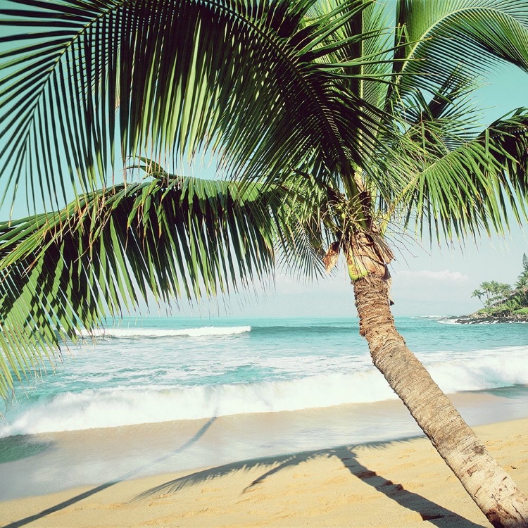 Picture of NAPII BEACH